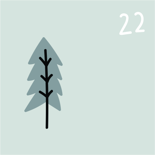 door-Door 22