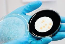 Legionellenpruefung-im-Labor-picturedesk-caro-optimiert Überprüfung auf Legionellen