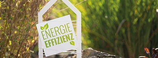 energie-effizienz-tuev-austria-541x200-shutterstock_1624831447_c_Tamara-B.jpg